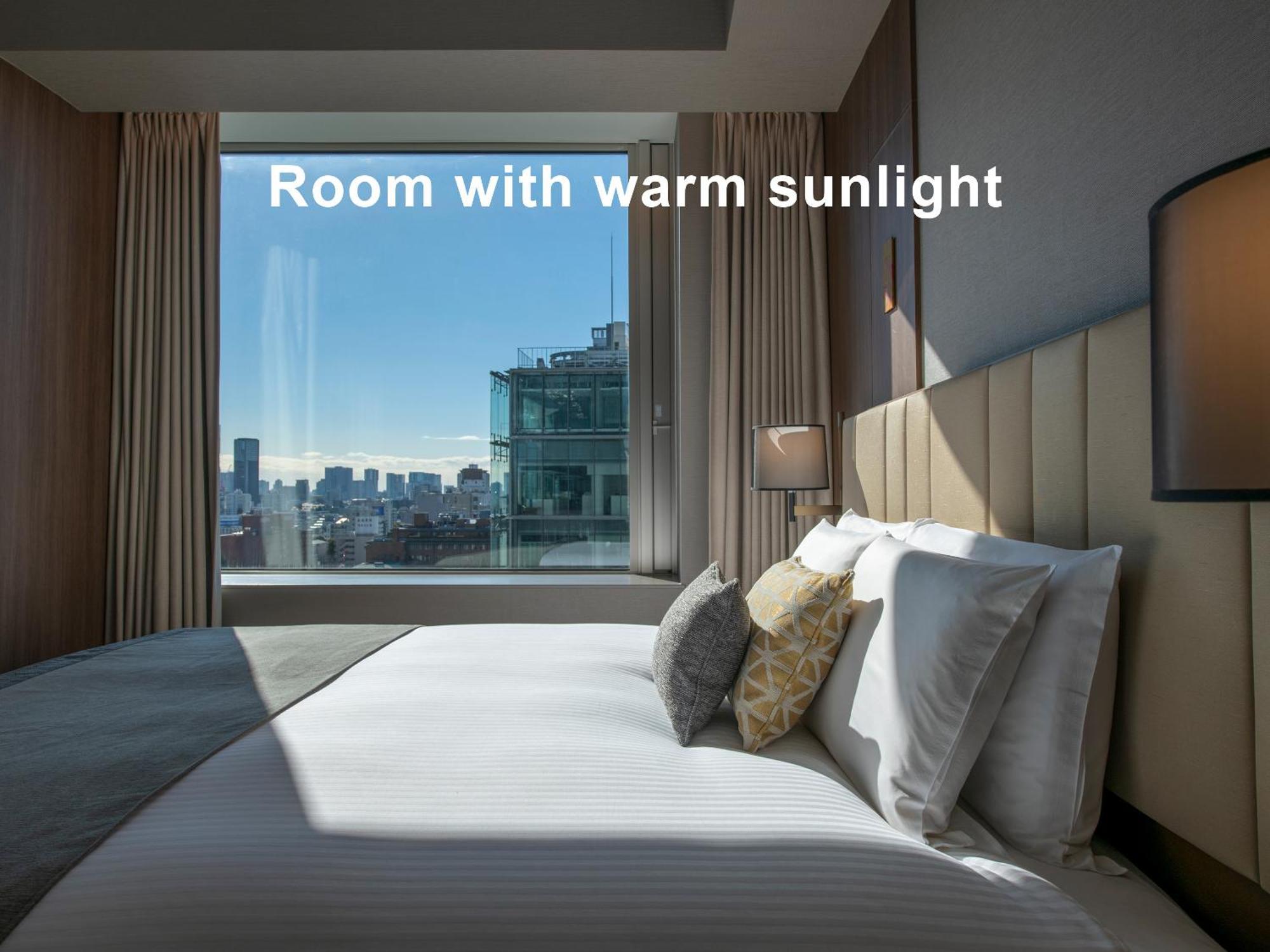 Mitsui Garden Hotel Roppongi Tokyo Premier Eksteriør billede Room with warm sunlight